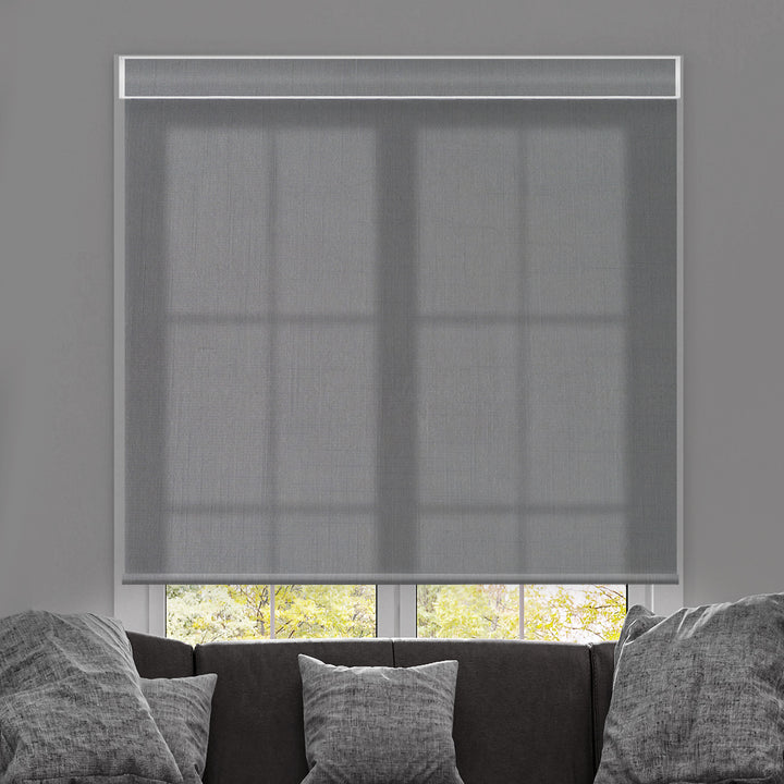 Canisteo Motorized Roller Shades | Transparent | Dusk