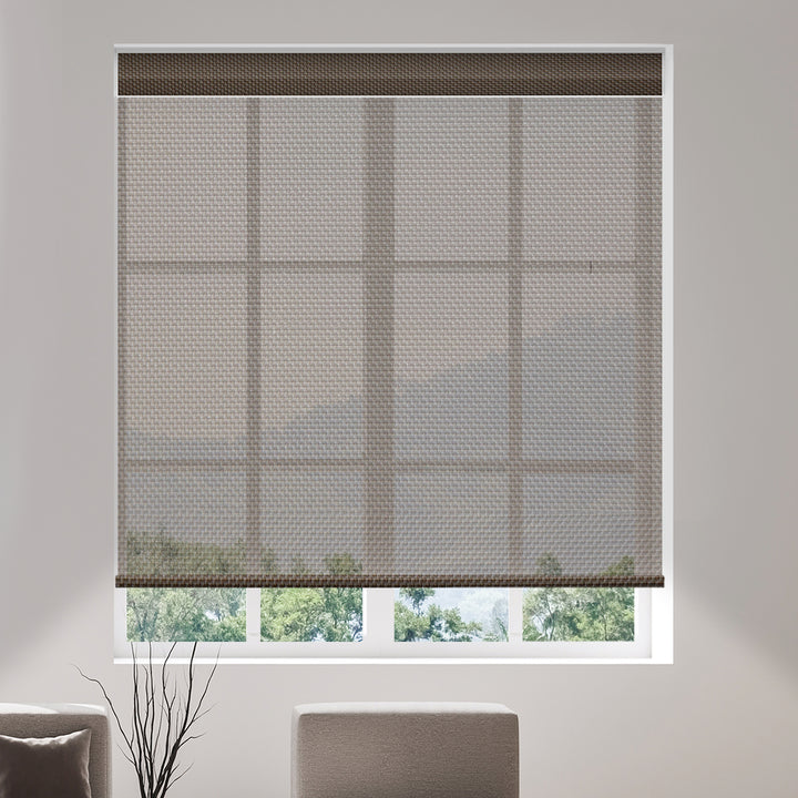 Canisteo Motorized Wand Roller Shades | Transparent | Sunny