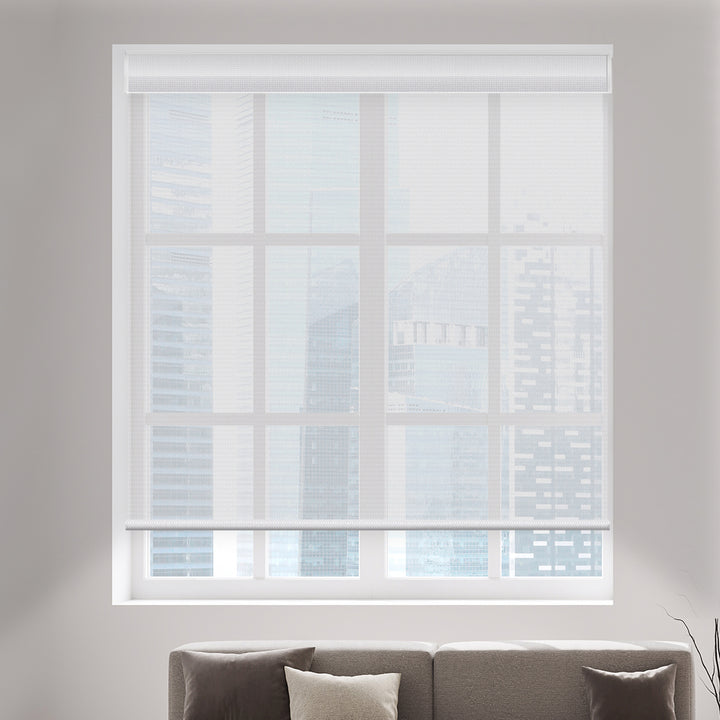 Canisteo Motorized Wand Roller Shades | Transparent | PVC-Free